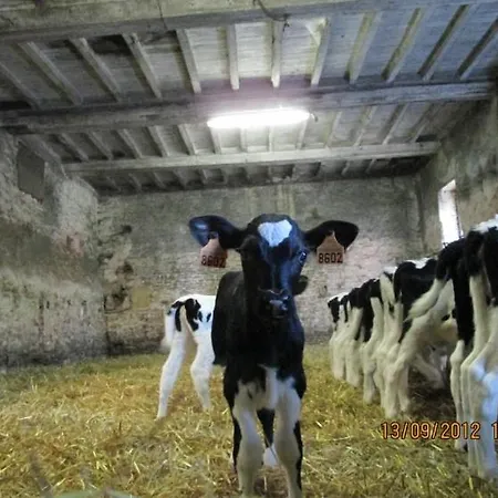Ferme Les Rouges Terres Grandcamp-Maisy
